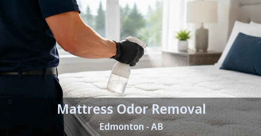 Mattress Odor Removal Edmonton - AB